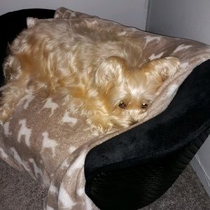 Meet your Posher, Darlene